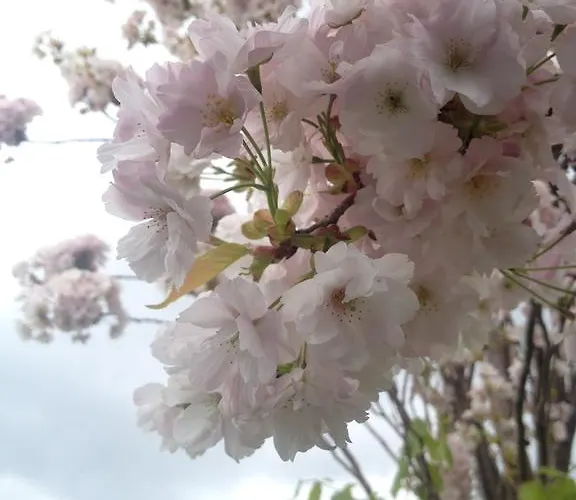 База отдыха Den Gamle Gaard