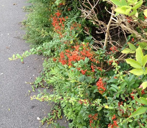 База отдыха Den Gamle Gaard 3*