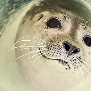 База отдыха Den Gamle Gaard 3*