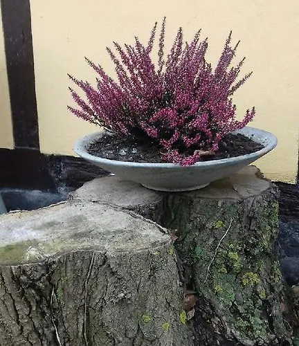 Den Gamle Gaard База отдыха 3*