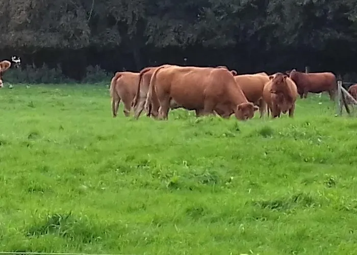 База отдыха Den Gamle Gaard 3*